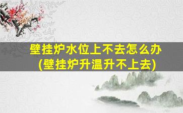壁挂炉水位上不去怎么办(壁挂炉升温升不上去)