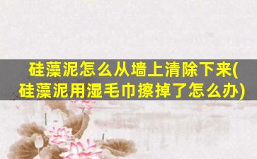 硅藻泥怎么从墙上清除下来(硅藻泥用湿毛巾擦掉了怎么办)