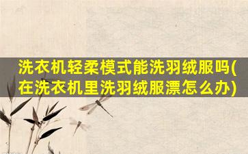 洗衣机轻柔模式能洗羽绒服吗(在洗衣机里洗羽绒服漂怎么办)