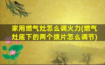 家用燃气灶怎么调火力(燃气灶底下的两个拨片怎么调节)