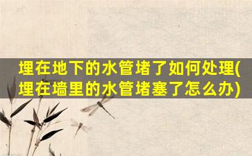 埋在地下的水管堵了如何处理(埋在墙里的水管堵塞了怎么办)