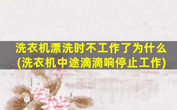 洗衣机漂洗时不工作了为什么(洗衣机中途滴滴响停止工作)