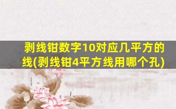 剥线钳数字10对应几平方的线(剥线钳4平方线用哪个孔)