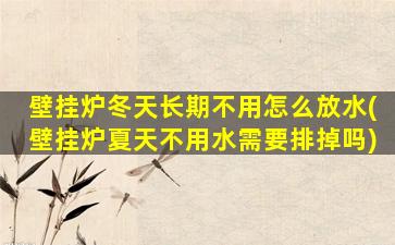壁挂炉冬天长期不用怎么放水(壁挂炉夏天不用水需要排掉吗)