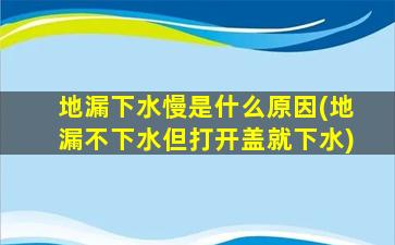 地漏下水慢是什么原因(地漏不下水但打开盖就下水)