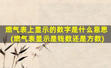 燃气表上显示的数字是什么意思(燃气表显示是钱数还是方数)