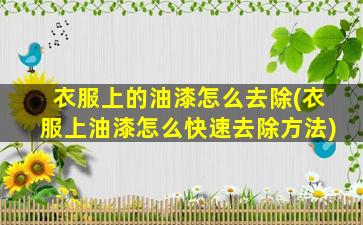 衣服上的油漆怎么去除(衣服上油漆怎么快速去除方法)