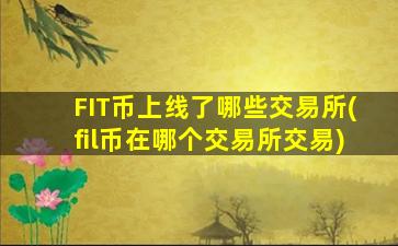 FIT币上线了哪些交易所(fil币在哪个交易所交易)