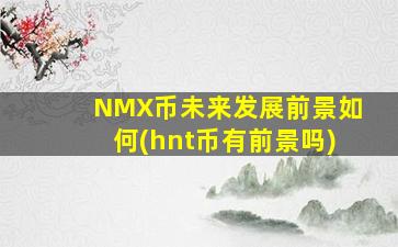 NMX币未来发展前景如何(hnt币有前景吗)