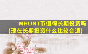 MHUNT币值得长期投资吗(现在长期投资什么比较合适)