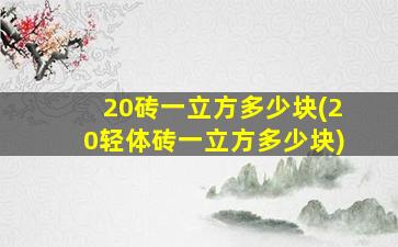 20砖一立方多少块(20轻体砖一立方多少块)