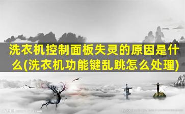 洗衣机控制面板失灵的原因是什么(洗衣机功能键乱跳怎么处理)