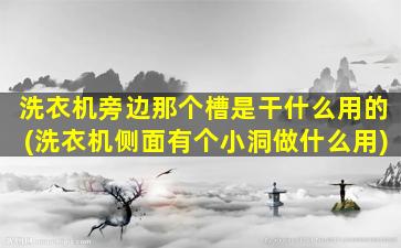 洗衣机旁边那个槽是干什么用的(洗衣机侧面有个小洞做什么用)