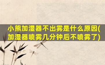 小熊加湿器不出雾是什么原因(加湿器喷雾几分钟后不喷雾了)