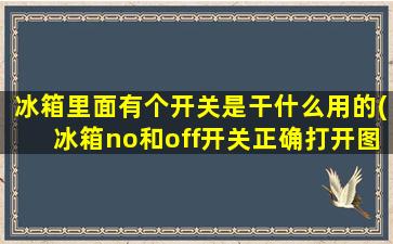 冰箱里面有个开关是干什么用的(冰箱no和off开关正确打开图片)