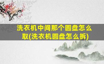 洗衣机中间那个圆盘怎么取(洗衣机圆盘怎么拆)