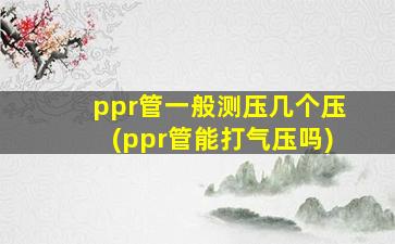 ppr管一般测压几个压(ppr管能打气压吗)