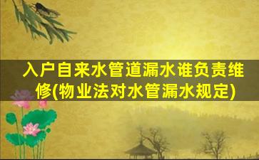 入户自来水管道漏水谁负责维修(物业法对水管漏水规定)