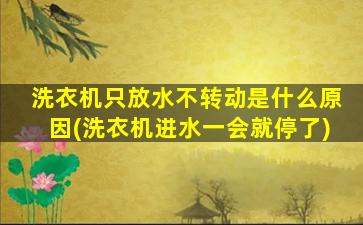 洗衣机只放水不转动是什么原因(洗衣机进水一会就停了)