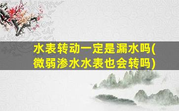 水表转动一定是漏水吗(微弱渗水水表也会转吗)