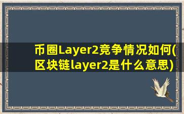 币圈Layer2竞争情况如何(区块链layer2是什么意思)