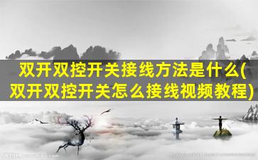 双开双控开关接线方法是什么(双开双控开关怎么接线视频教程)