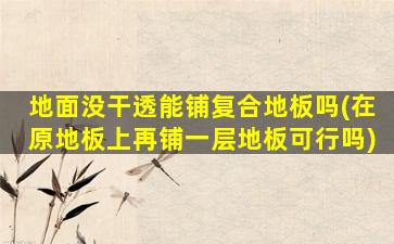 地面没干透能铺复合地板吗(在原地板上再铺一层地板可行吗)