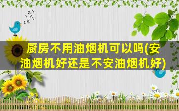 厨房不用油烟机可以吗(安油烟机好还是不安油烟机好)