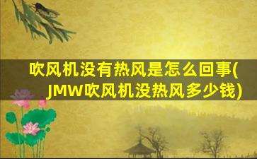 吹风机没有热风是怎么回事(JMW吹风机没热风多少钱)