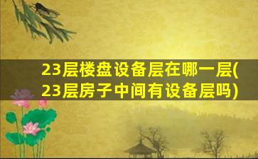 23层楼盘设备层在哪一层(23层房子中间有设备层吗)