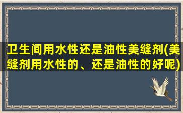 卫生间用水性还是油性美缝剂(美缝剂用水性的、还是油性的好呢)
