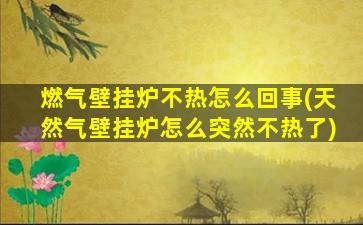 燃气壁挂炉不热怎么回事(天然气壁挂炉怎么突然不热了)