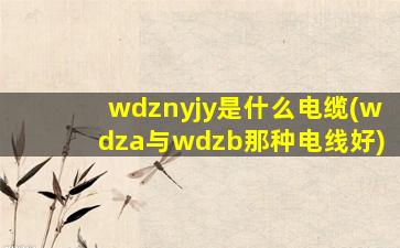wdznyjy是什么电缆(wdza与wdzb那种电线好)