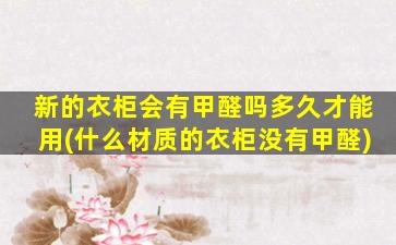 新的衣柜会有甲醛吗多久才能用(什么材质的衣柜没有甲醛)