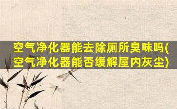 空气净化器能去除厕所臭味吗(空气净化器能否缓解屋内灰尘)
