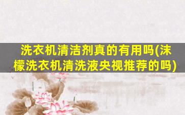 洗衣机清洁剂真的有用吗(沫檬洗衣机清洗液央视推荐的吗)