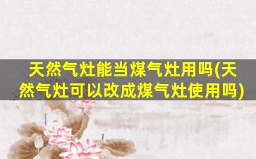 天然气灶能当煤气灶用吗(天然气灶可以改成煤气灶使用吗)