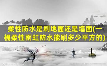 柔性防水是刷地面还是墙面(一桶柔性雨虹防水能刷多少平方的)