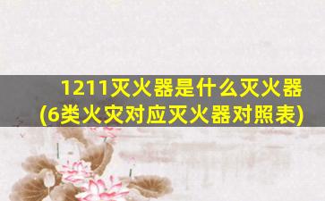 1211灭火器是什么灭火器(6类火灾对应灭火器对照表)