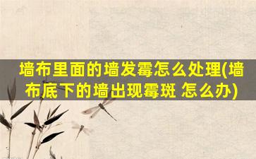 墙布里面的墙发霉怎么处理(墙布底下的墙出现霉斑 怎么办)