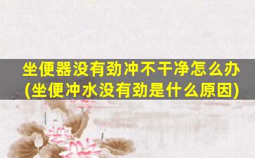 坐便器没有劲冲不干净怎么办(坐便冲水没有劲是什么原因)