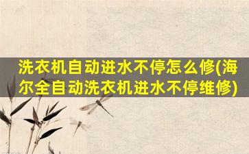 洗衣机自动进水不停怎么修(海尔全自动洗衣机进水不停维修)