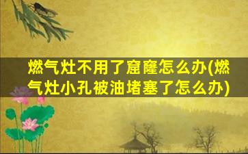 燃气灶不用了窟窿怎么办(燃气灶小孔被油堵塞了怎么办)