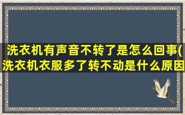 洗衣机有声音不转了是怎么回事(洗衣机衣服多了转不动是什么原因)