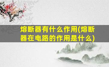 熔断器有什么作用(熔断器在电路的作用是什么)