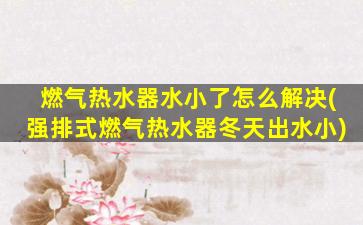 燃气热水器水小了怎么解决(强排式燃气热水器冬天出水小)