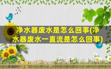 净水器废水是怎么回事(净水器废水一直流是怎么回事)
