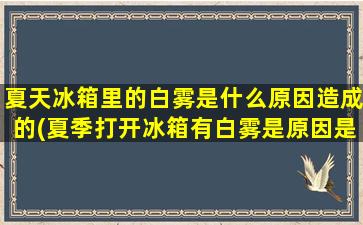 夏天冰箱里的白雾是什么原因造成的(夏季打开冰箱有白雾是原因是)