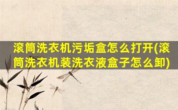 滚筒洗衣机污垢盒怎么打开(滚筒洗衣机装洗衣液盒子怎么卸)