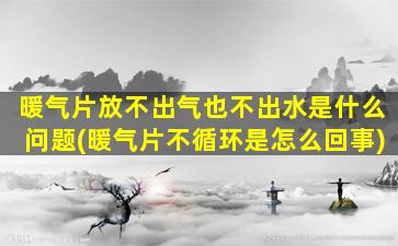 暖气片放不出气也不出水是什么问题(暖气片不循环是怎么回事)